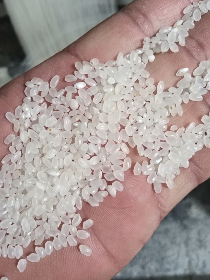 大量出售东北珍珠米价格便宜