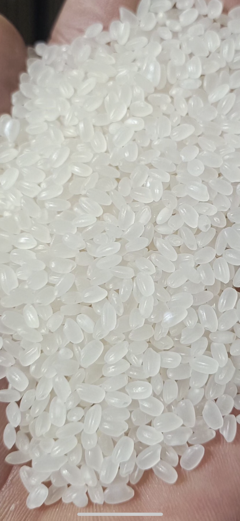 大量出售东北珍珠米价格便宜