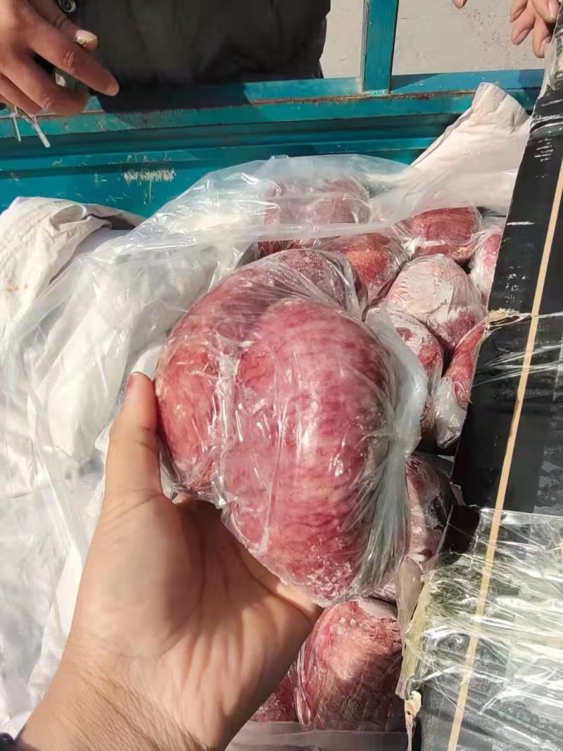 无根国产牛宝，精修，全国冷链均可发货，量大从优