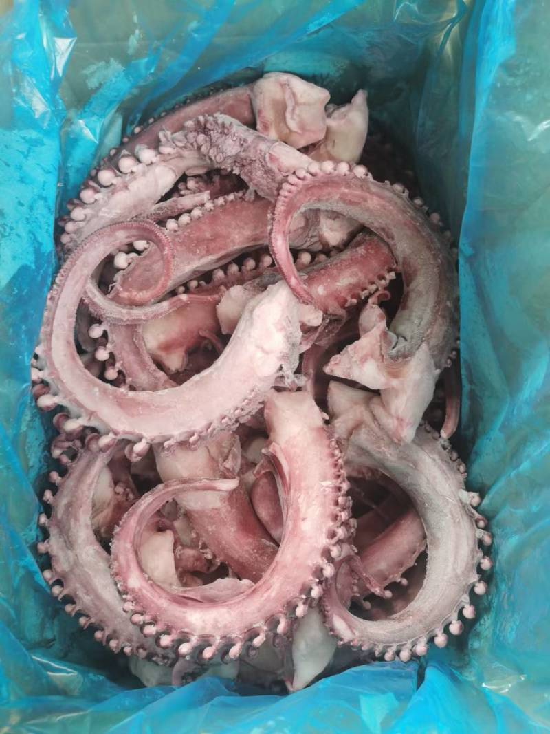 章鱼足新鲜【大章鱼足】鱿鱼须脆口大章鱼足新鲜速冻海鲜章鱼