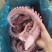章鱼足新鲜【大章鱼足】鱿鱼须脆口大章鱼足新鲜速冻海鲜章鱼