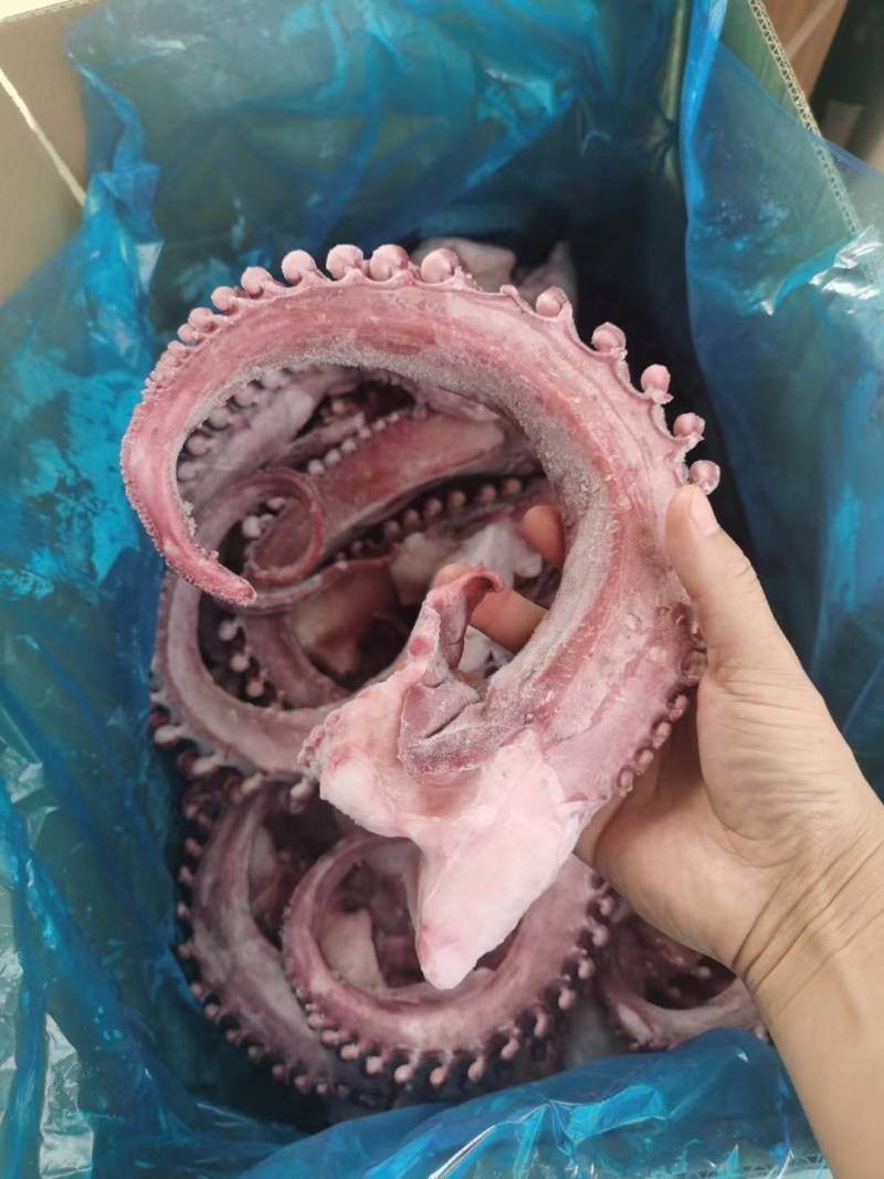 章鱼足新鲜【大章鱼足】鱿鱼须脆口大章鱼足新鲜速冻海鲜章鱼