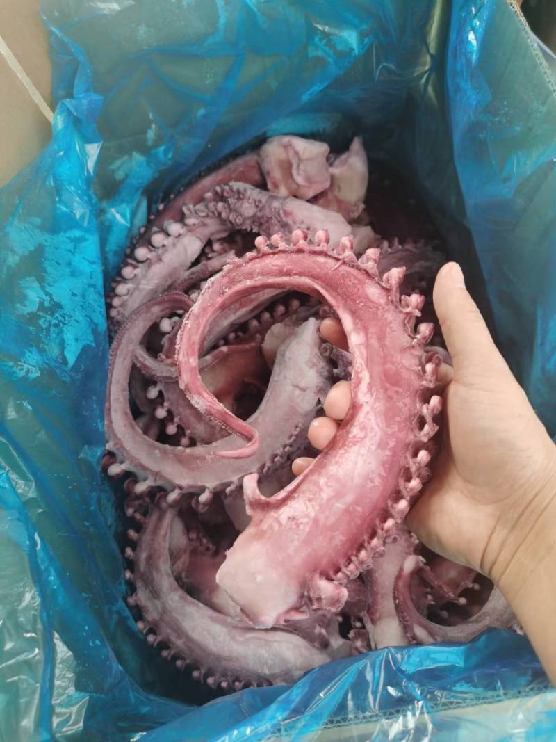 章鱼足新鲜【大章鱼足】鱿鱼须脆口大章鱼足新鲜速冻海鲜章鱼