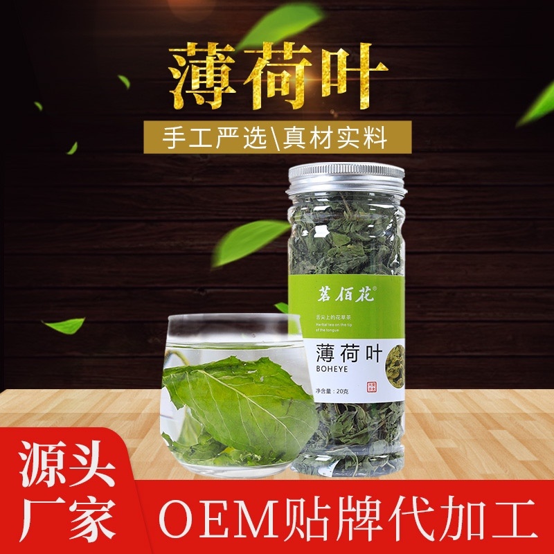 薄荷叶买二发三包邮偏远地区除外一瓶起批