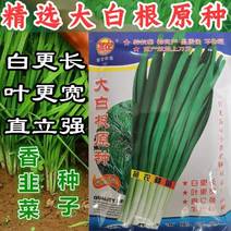 【高品质】大白根韭菜种子特高产特耐寒宽叶生长速度快
