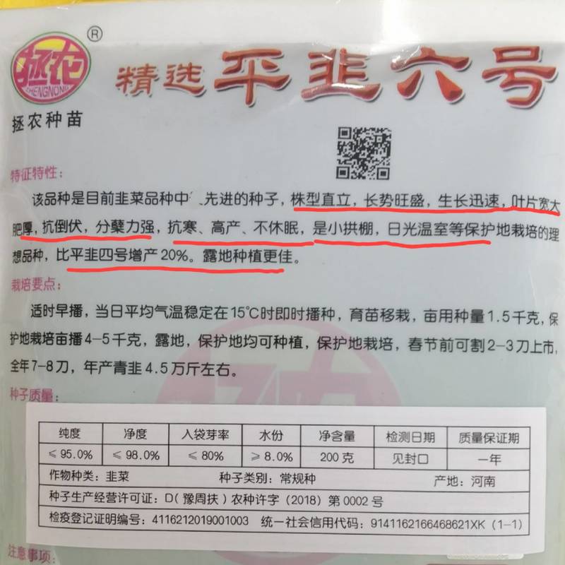 平韭六号韭菜种子抗病耐寒不休眠高产宽叶抗倒露地专用