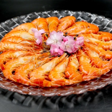 小龙鱼黑虎虾