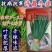 【高品质】许昌冬韭韭菜种子特耐寒高产宽叶，露地基地专用