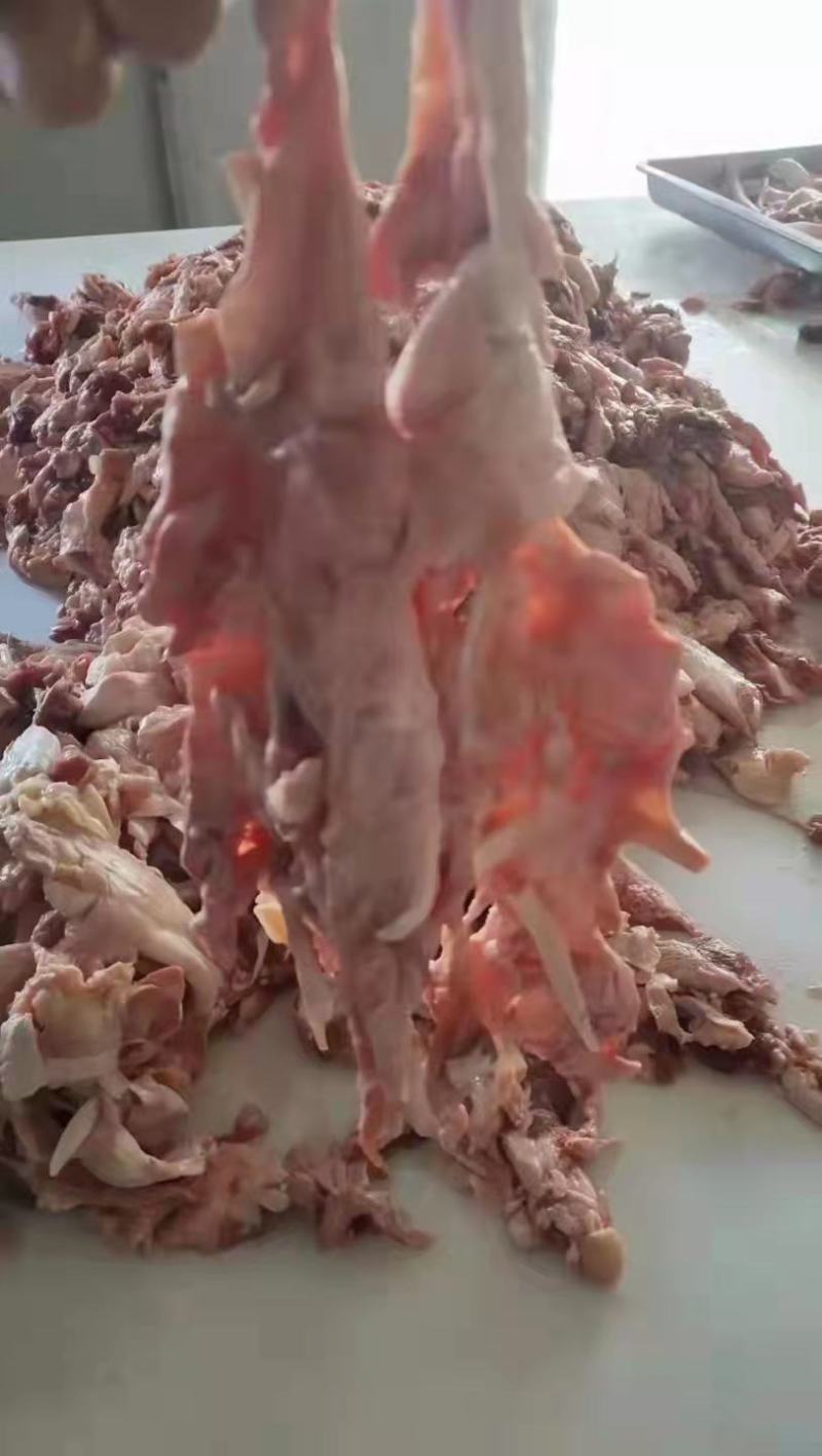 牛棒骨筋，筋头巴脑，实拍图片，源头工厂，物美价廉