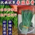 【高品质】丰园寒青韭菜种子耐寒高产宽叶不休眠基地专用