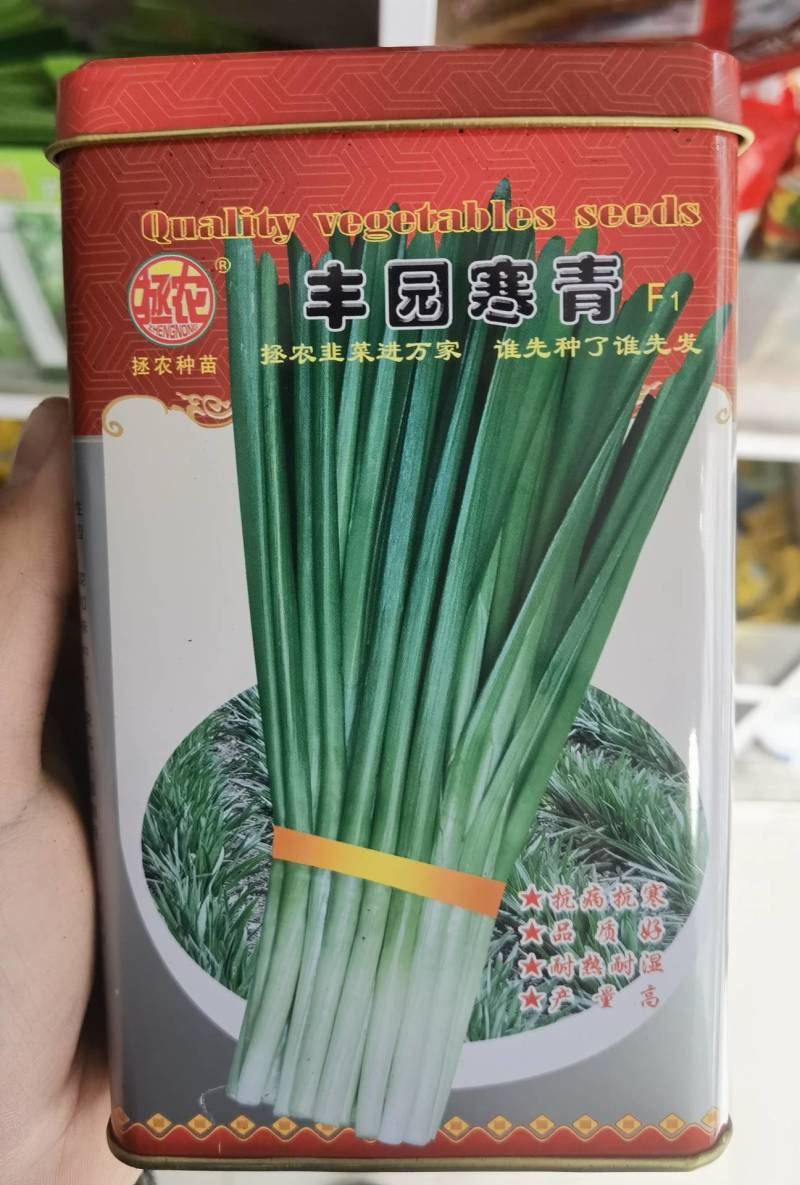 【高品质】丰园寒青韭菜种子耐寒高产宽叶不休眠基地专用