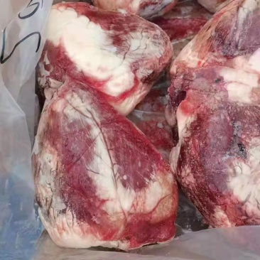 牛心，纯干货。全国均可发货，量大来谈