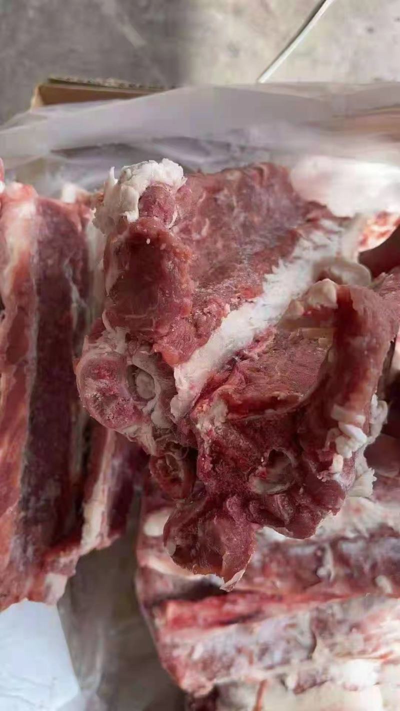 多肉羊蝎子，肉厚，质量看的见！羔羊蝎子，全国冷链均可发货