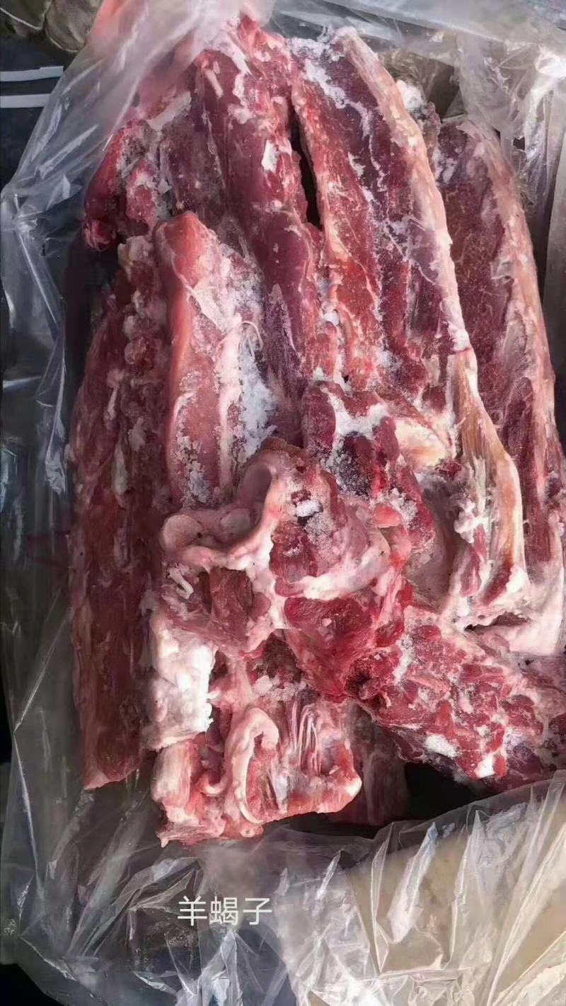 多肉羊蝎子，肉厚，质量看的见！羔羊蝎子，全国冷链均可发货