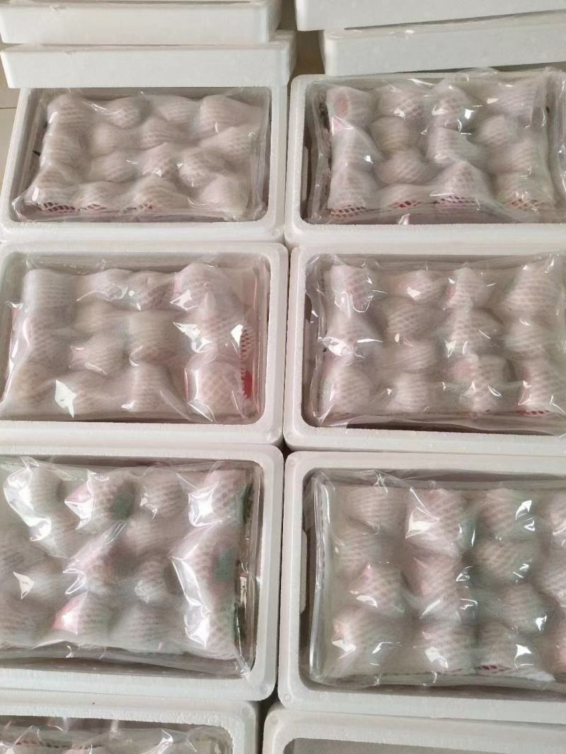 电商优选丹东红颜九九牛奶草莓精品真空包装一件代发