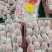 电商优选丹东红颜九九牛奶草莓精品真空包装一件代发