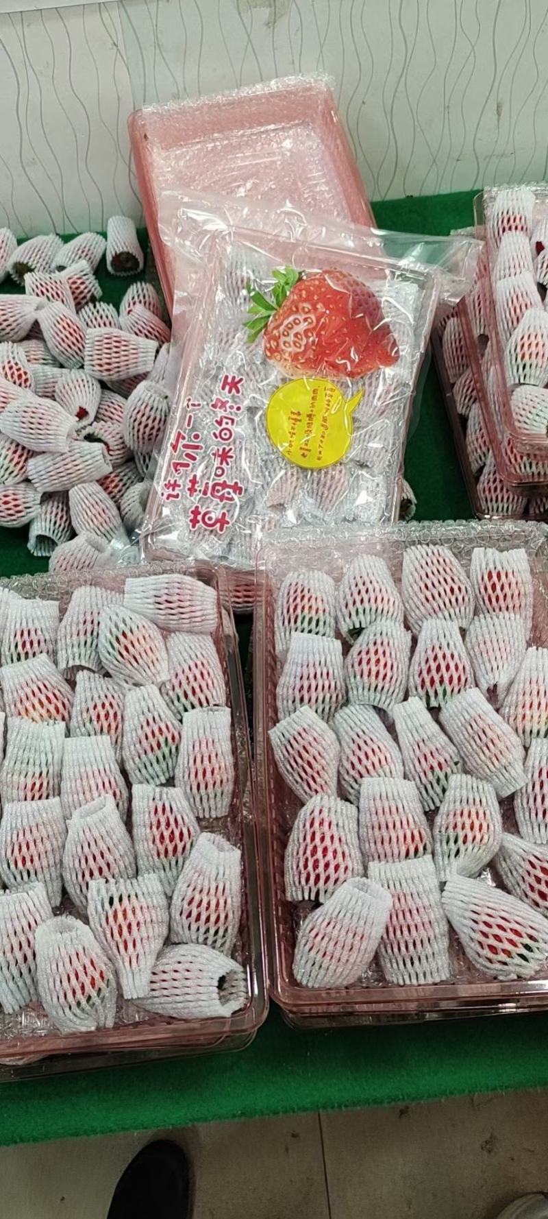电商优选丹东红颜九九牛奶草莓精品真空包装一件代发