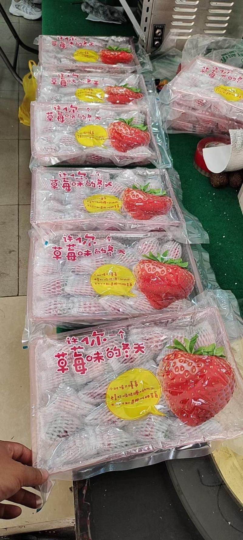电商优选丹东红颜九九牛奶草莓精品真空包装一件代发