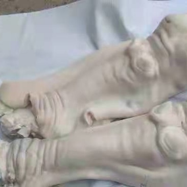 水退去骨牛蹄干净卫生大量有货一手货源