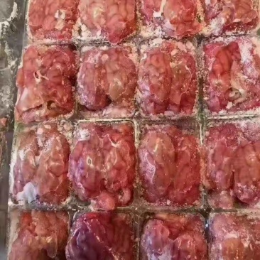 羊脑，单冻羊脑，板冻羊脑，纯干无水，全国均可发货