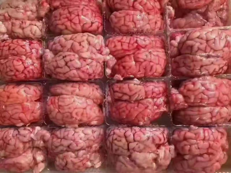 羊脑，单冻羊脑，板冻羊脑，纯干无水，全国均可发货