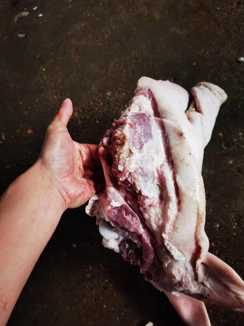 猪肺长期低价供应屠宰场一手货源保质保量