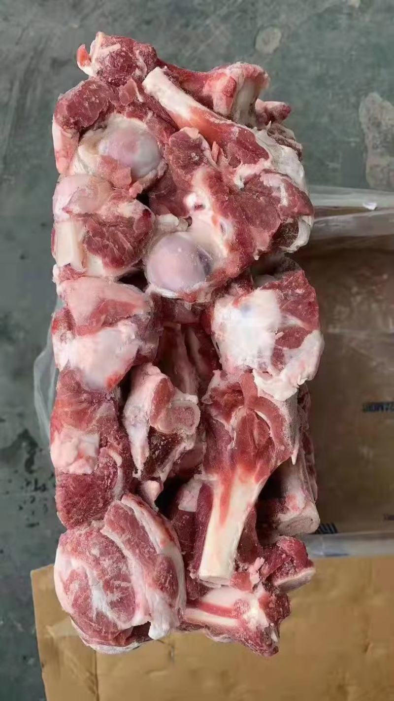羊肱骨