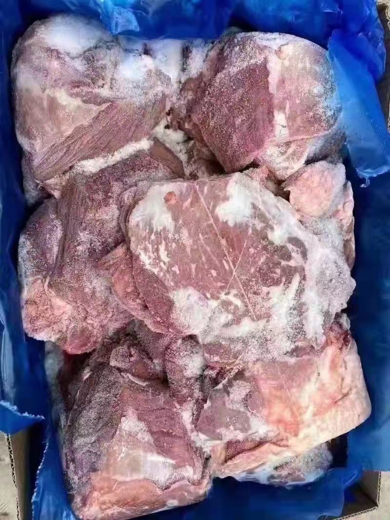 牛前