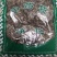 天仙藤干货农副产品不满意可退换换货