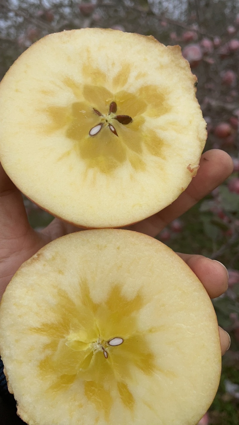 糖心苹果