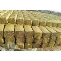 玉米秸秆草块出厂价格，大量出售，保质保量