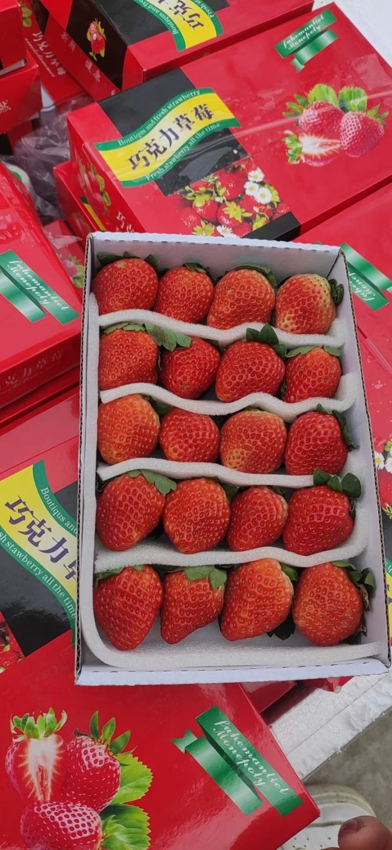 冬草莓