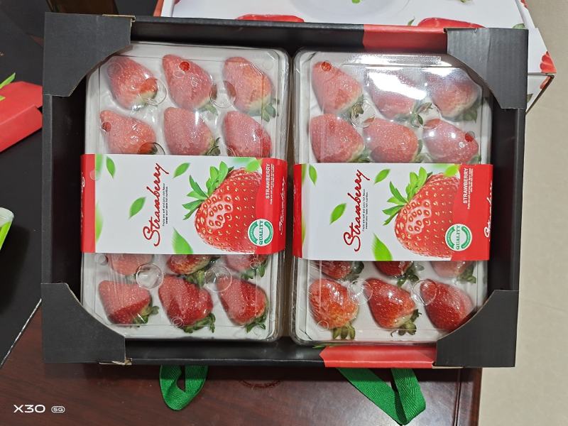 冬草莓