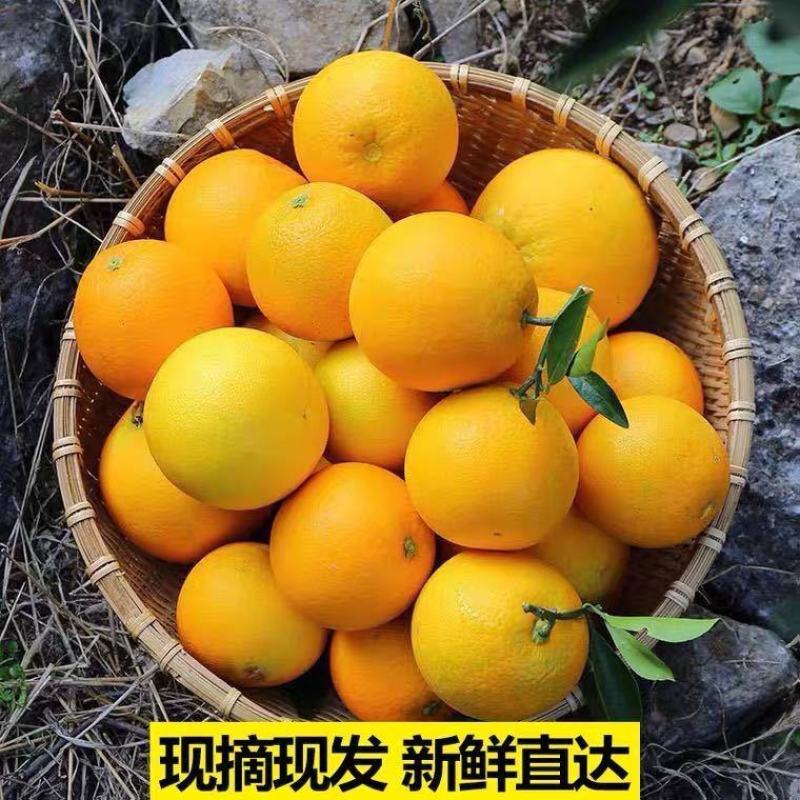 江西赣州橙子甜橙新鲜赣南脐橙批发支持电商代发