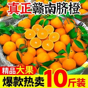 江西赣州橙子甜橙新鲜赣南脐橙批发支持电商代发