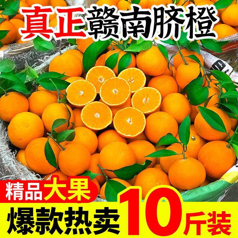 江西赣州橙子甜橙新鲜赣南脐橙批发支持电商代发