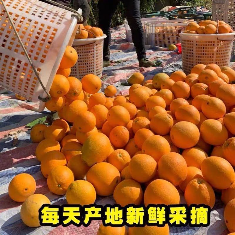 江西赣州橙子甜橙新鲜赣南脐橙批发支持电商代发