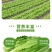 油麦菜河北邯郸油麦菜量大从优基地供应质量保证