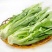油麦菜河北邯郸油麦菜量大从优基地供应质量保证