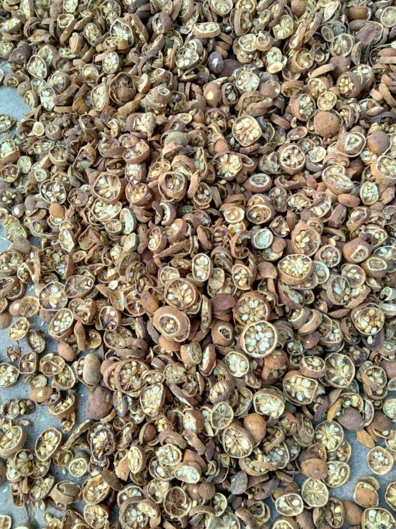 枸橘李，中药材枸橘果，枸橘干，苦枸橘质量保证欢迎选购