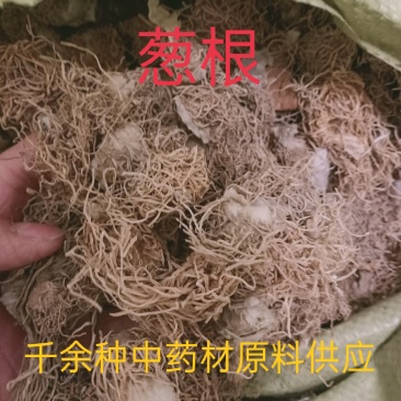 葱根，葱须干水洗品质量保证，经营各种中药材！