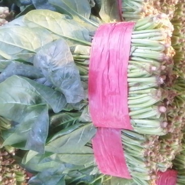 菠菜