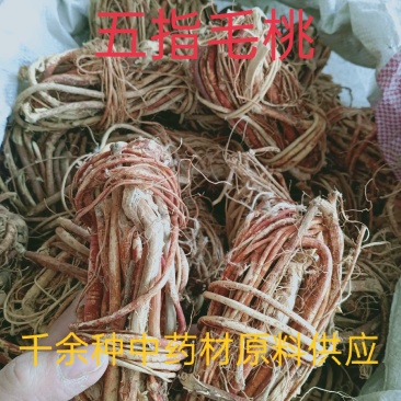 五桃毛桃，五指柑，五指牛奶野生质量保证欢迎咨询选购