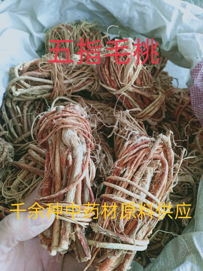 五桃毛桃，五指柑，五指牛奶野生质量保证欢迎咨询选购
