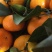 八月柑桔🍊以成熟上市