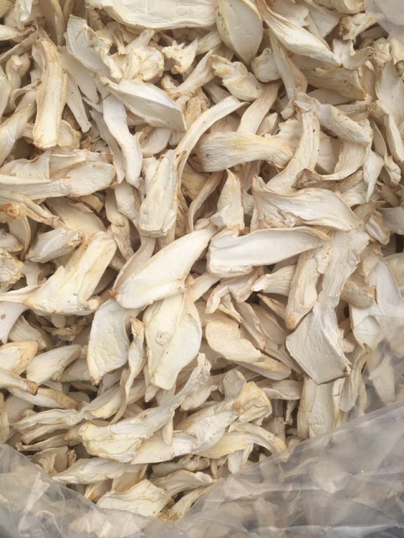 产地园区直供杏鲍菇大中小干片颜色好煲汤佳品