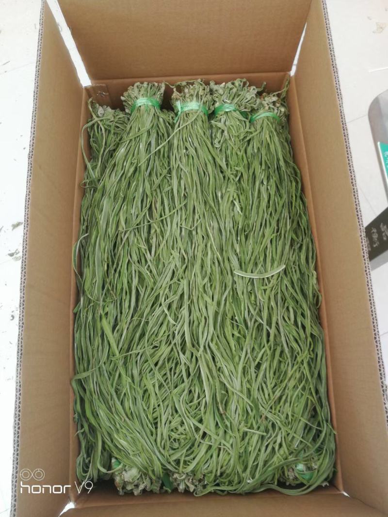 【精品】苔菜质量保证全国发货量大从优规格齐全