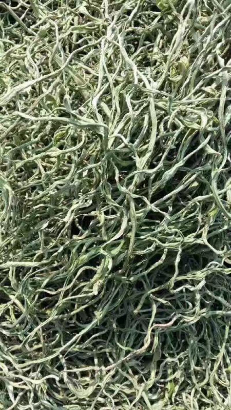 【荐】豆角丝质量保证全国发货量大从优欢迎联系