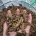 【诺一药材】黄连川黄连精品药材可视频看货