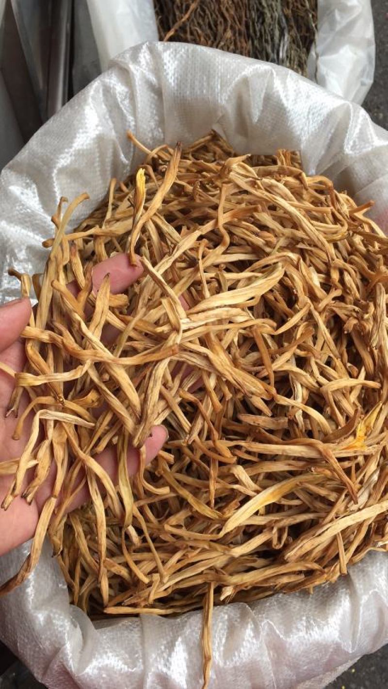 直条黄花菜针织菇产地直接发货